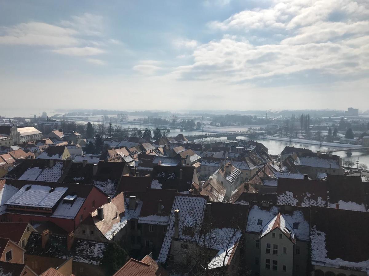 Apartments Terme Птуй Екстер'єр фото